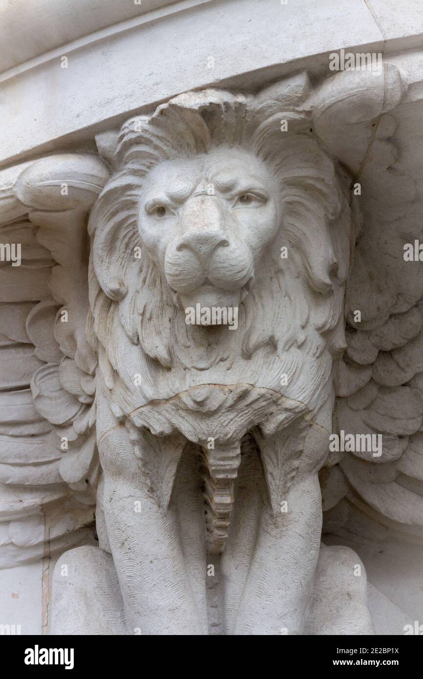 tenant une structure, ce lion féroce est majestueux Banque D'Images