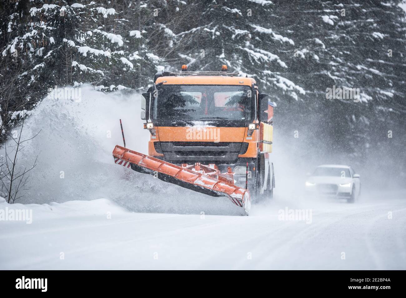 Chasse-neige déblayer la route de la neige dans la forêt avec la circulation à l'arrière du camion. Banque D'Images