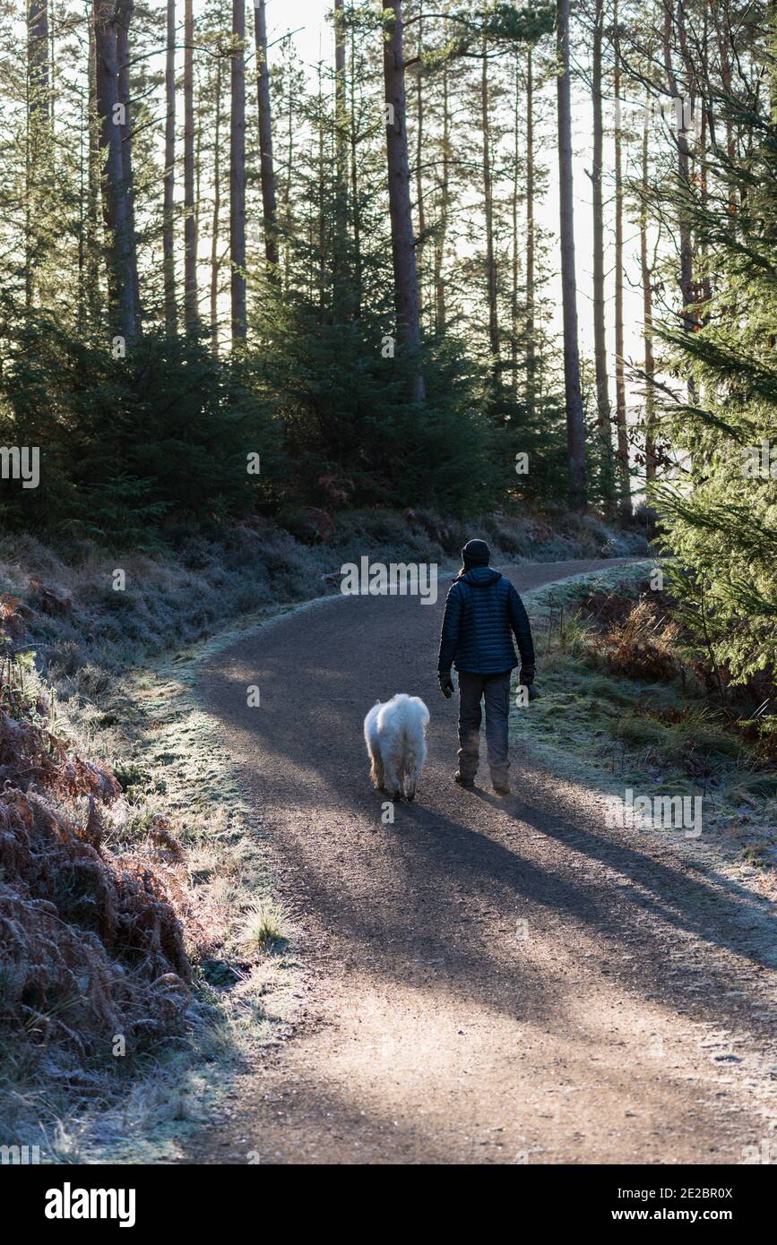 Parc forestier de Kielder Banque D'Images