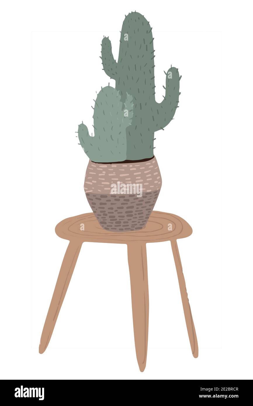 ensemble de fleurs. Illustration avec différents types d'icônes de fleurs de pot isolées sur Banque D'Images