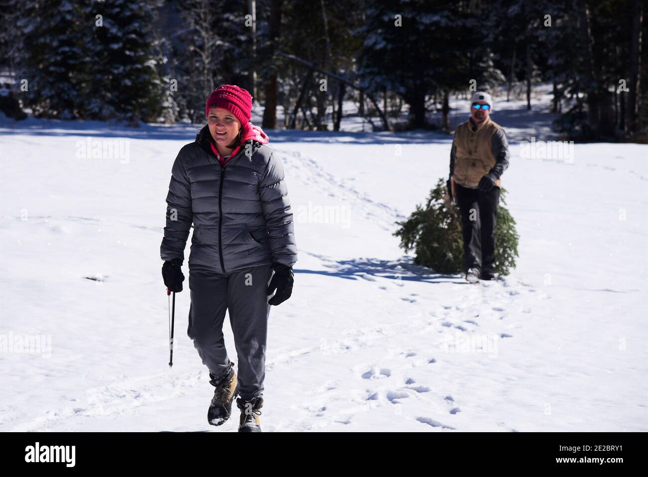 Mari et femme coupant arbre de Noël. Banque D'Images