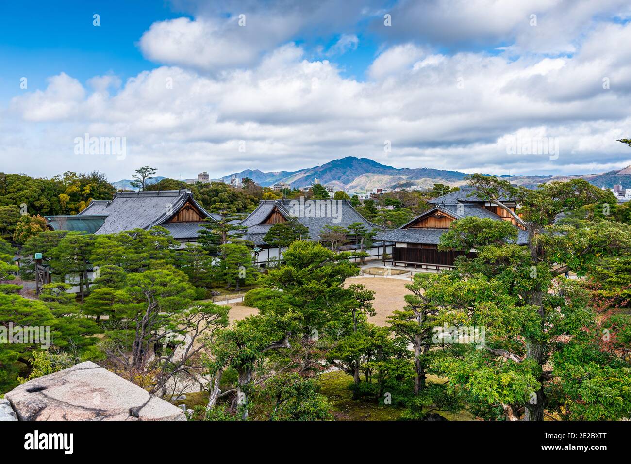 Kyoto, Japon au jardin verdoyant du château de Nijo. Banque D'Images