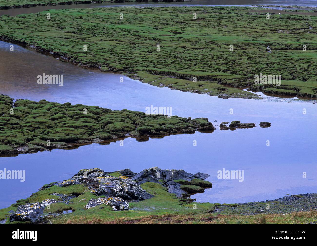 Les plateaux de marée ont été exposés à marée basse sur Loch Loring, en Écosse, au Royaume-Uni, au début du printemps. Banque D'Images
