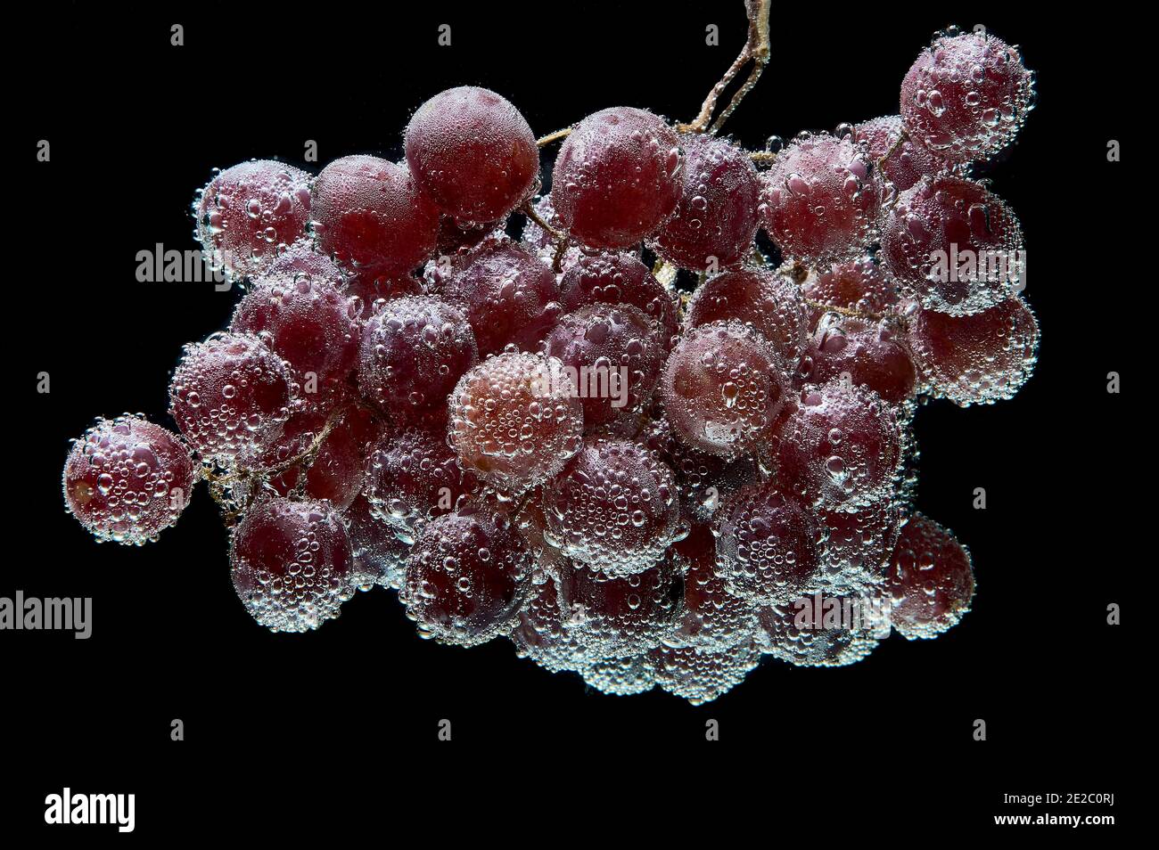 Raisins sombres dans l'eau pétillante Banque D'Images