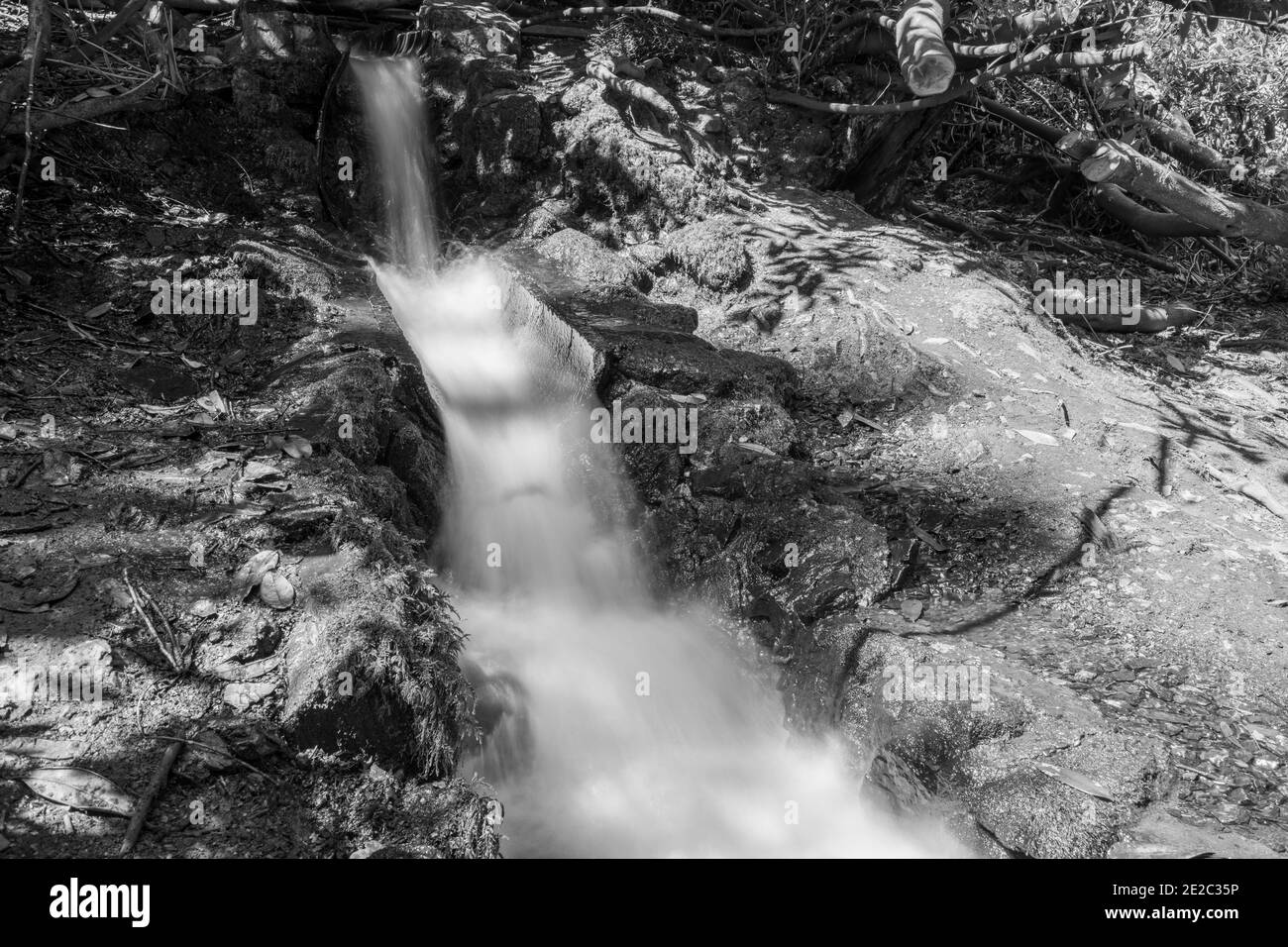 Longue exposition d'un homme fait une chute d'eau aux chutes Canonteign À Dartmoor Banque D'Images