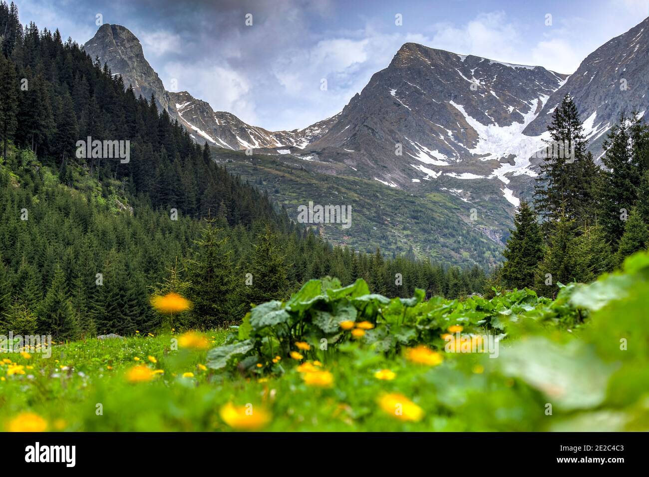 Paysage alpin dans les montagnes Fagaras. Photo prise de façon spectaculaire depuis la cabine de Sambata de sus dans les Carpates, Roumanie, le 6 juin Banque D'Images