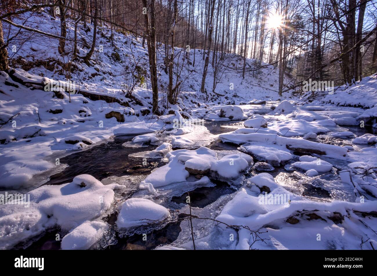Ruisseau forestier gelé coulant au fond des montagnes de Tarcului au coucher du soleil, comté de Banat, Roumanie. Photo prise le 12 janvier 2020. Banque D'Images