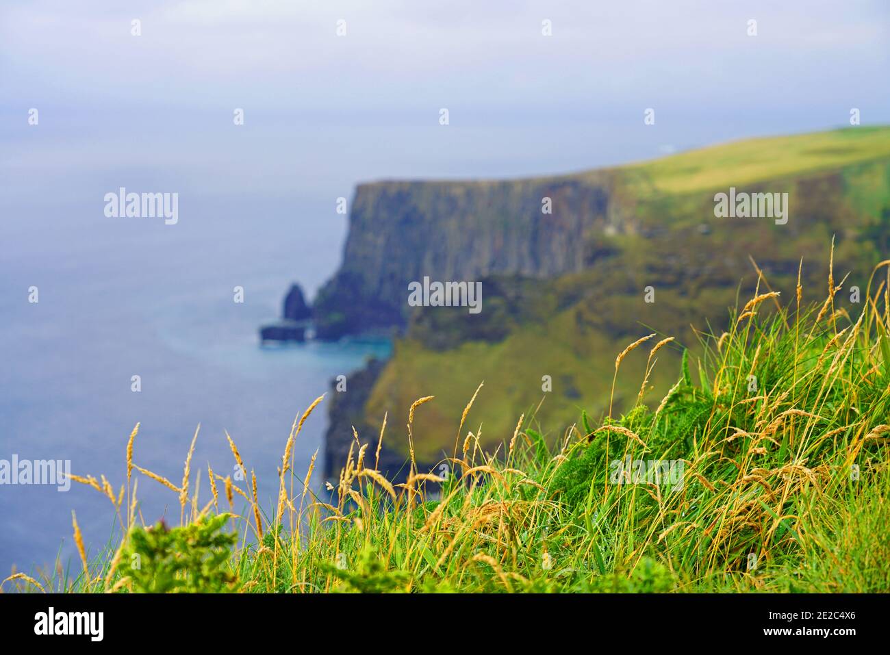 Falaises abruptes sur les falaises de Moher en Irlande. Banque D'Images