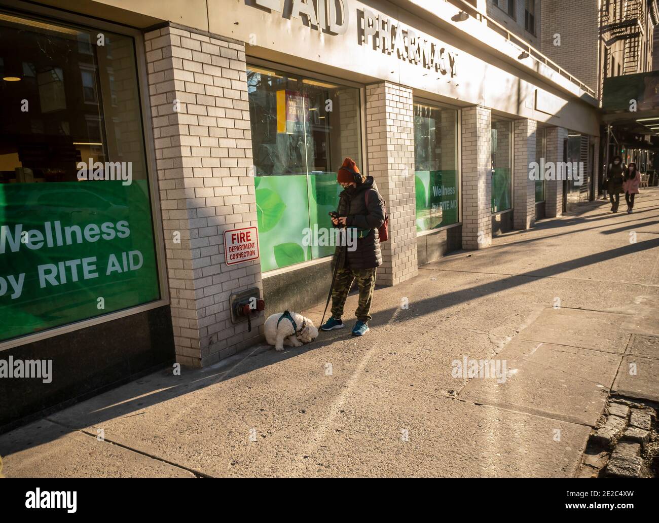 Femme distraite avec son téléphone et son chien à Chelsea, à New York, le mercredi 6 janvier 2021 (© Richard B. Levine) Banque D'Images