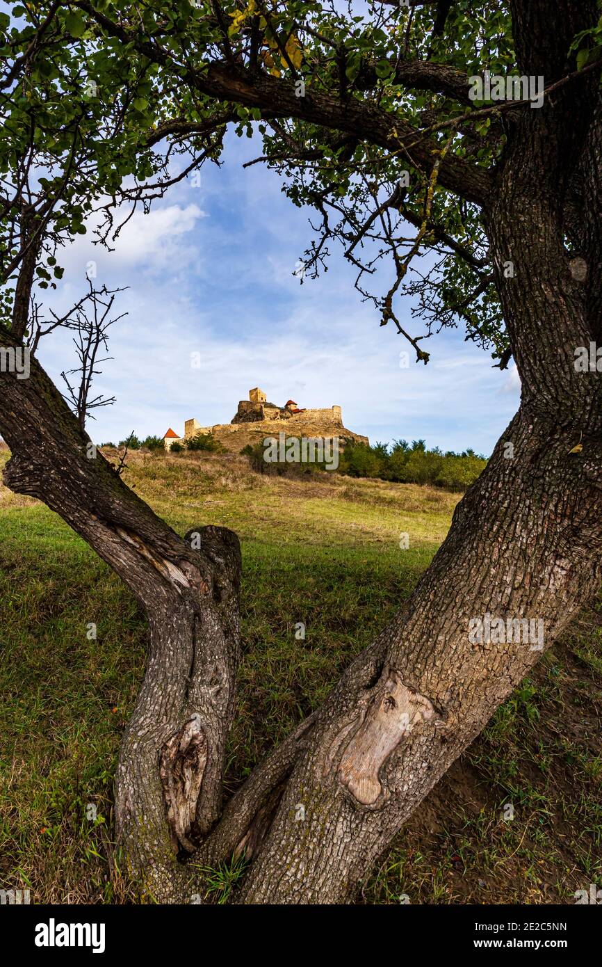 L'ancienne citadelle médiévale de Rupea avec un cadre naturel à base d'arbres. Photo prise le 2 octobre 2020, comté de Brasov, Roumanie. Banque D'Images