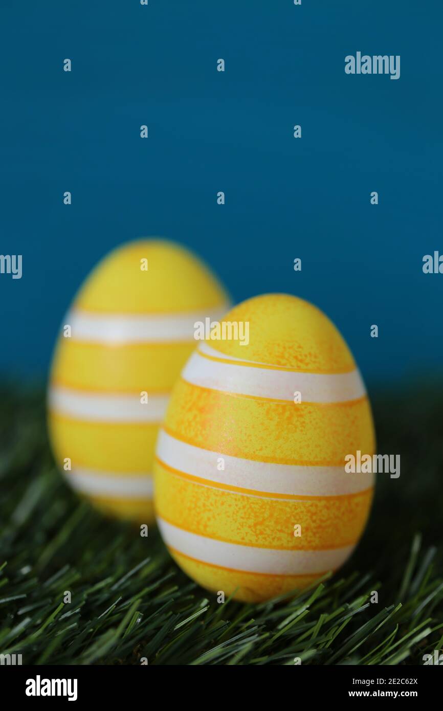 Vacances de Pâques. Oeufs rayés jaune et bleu de Pâques dans l'herbe verte sur fond bleu turquoise.Printemps fond de Pâques festif.symbole de Pâques. Copie Banque D'Images