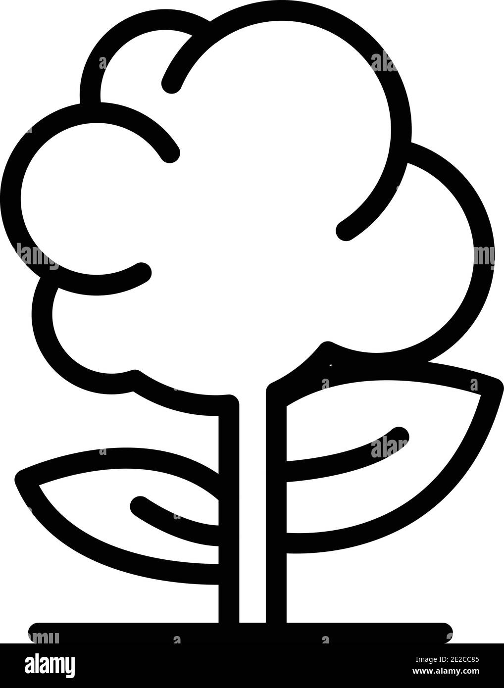 Icône coton agricole. Icône vectorielle de vecteur de coton agricole pour la conception de sites Web isolée sur fond blanc Illustration de Vecteur