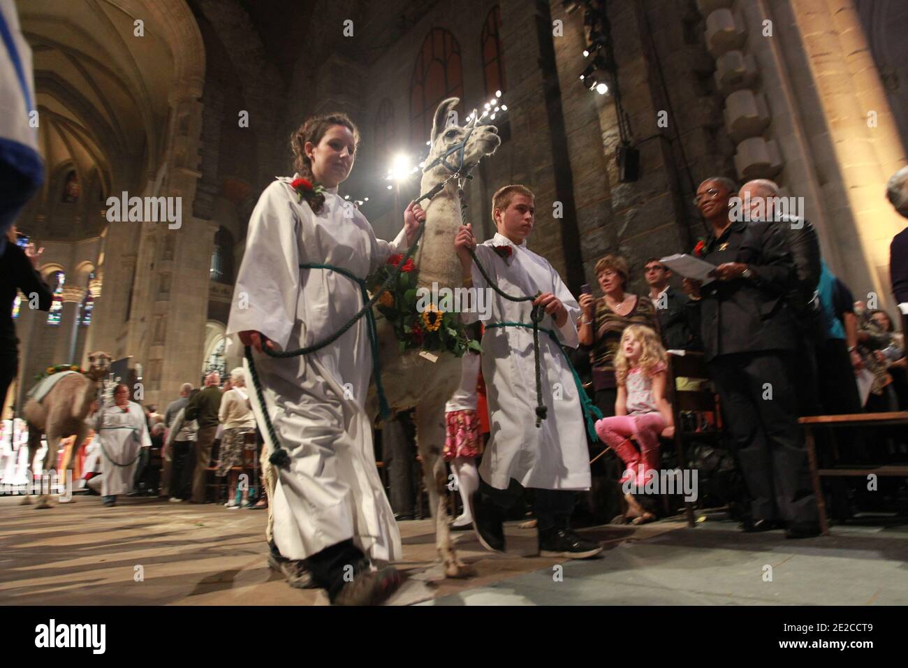 Les animaux défilent à la Cathédrale Saint Jean le Divin pour la 27e fête annuelle de Saint François d'Assise à New York, New York, Etats-Unis, le 2 octobre 2011. Photo par Elizabeth Pantaleo/ABACAPRESS.COM Banque D'Images