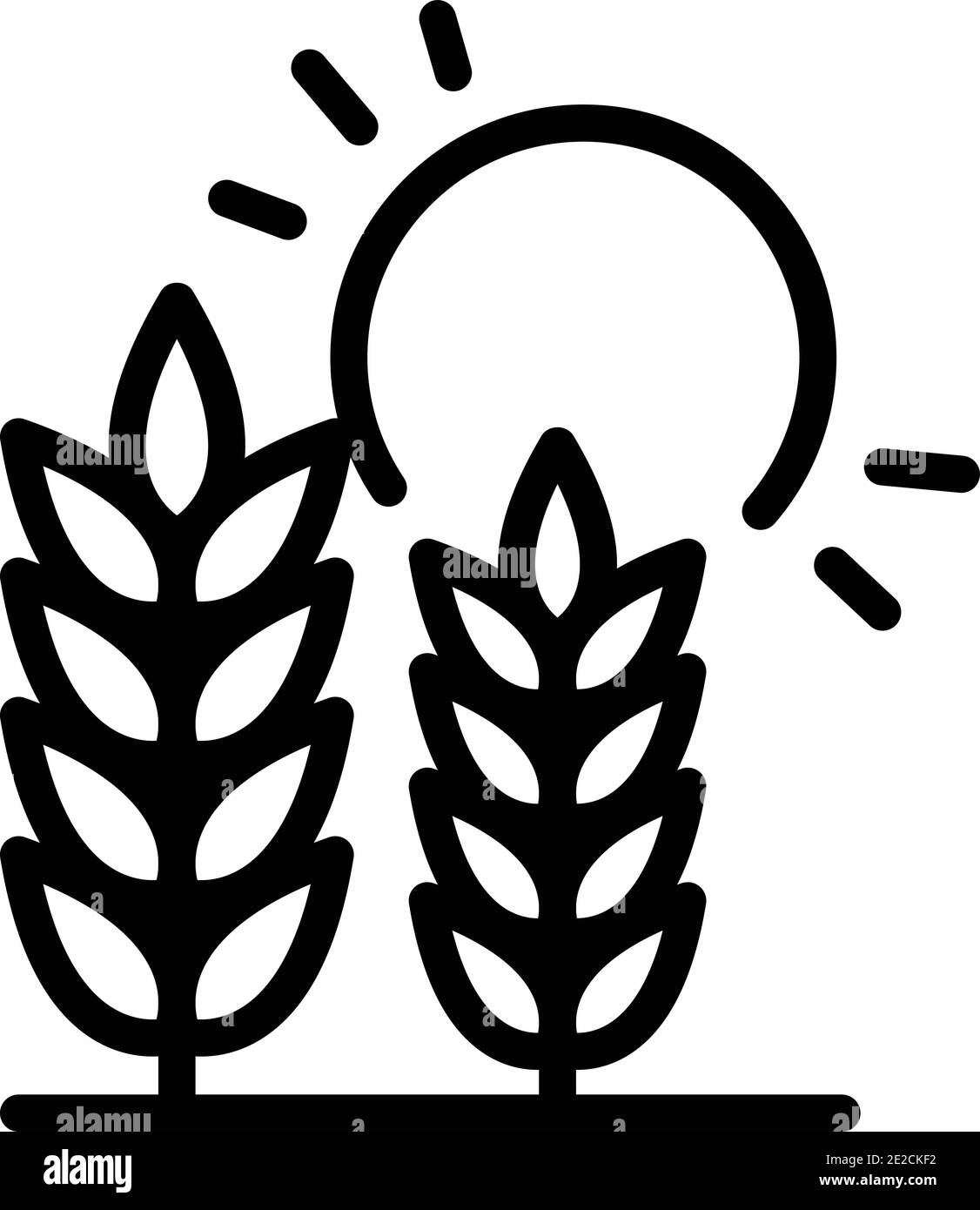 Icône de soleil de blé. Icône vectorielle de vecteur de soleil de blé pour la conception de sites Web isolée sur fond blanc Illustration de Vecteur