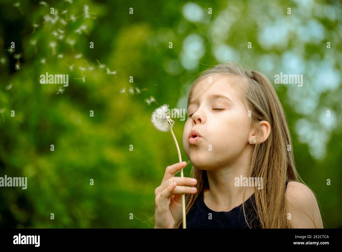 L'été dans le parc ou la forêt. Nature, idée de fraîcheur et liberté. Enfance heureuse.joie d'été, petite fille soufflant pissenlit au coucher du soleil près de la rivière Banque D'Images