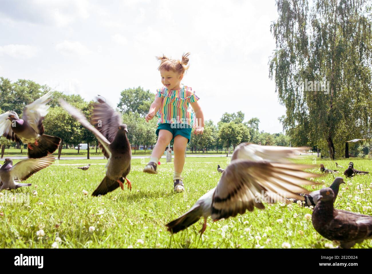 Petite fille scares pigeons jeu amusant été. Écologie, court sur l'herbe dans le parc de la ville à l'extérieur, style de vie Banque D'Images