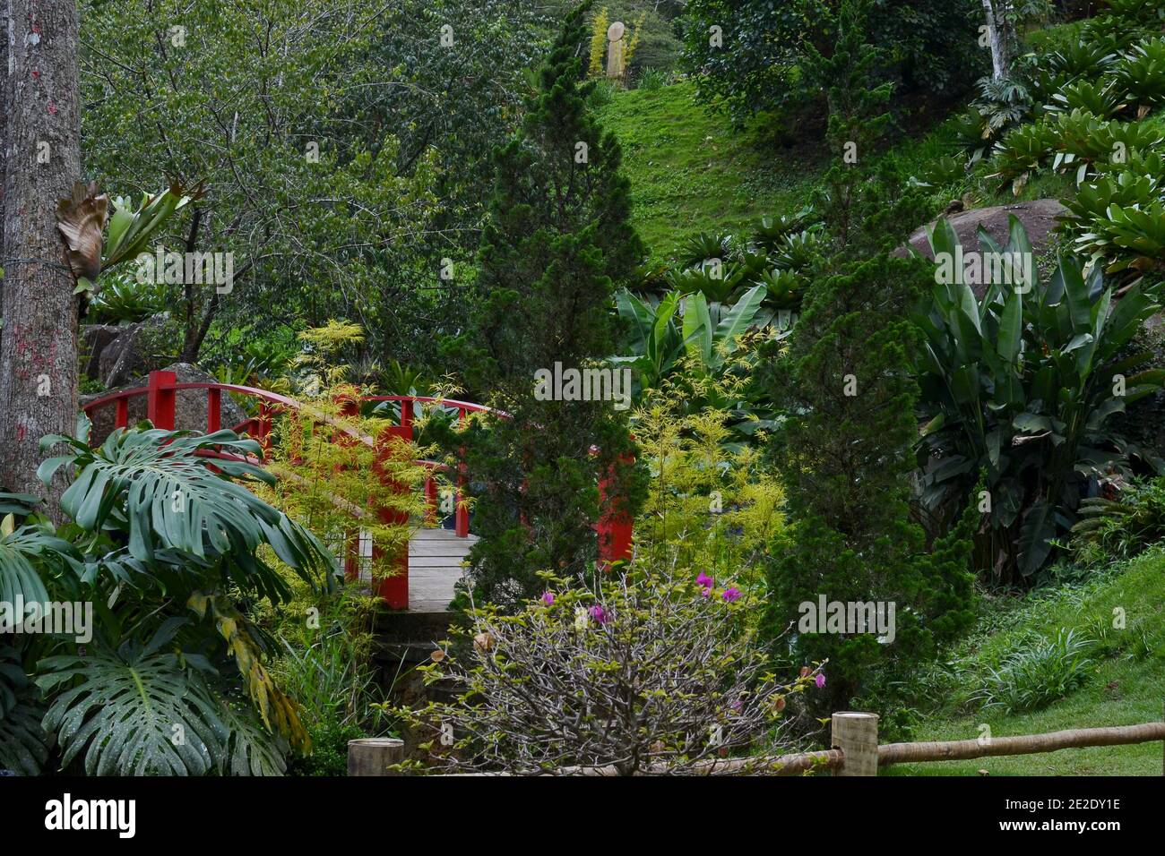 Pont japonais rouge dans un jardin Banque D'Images