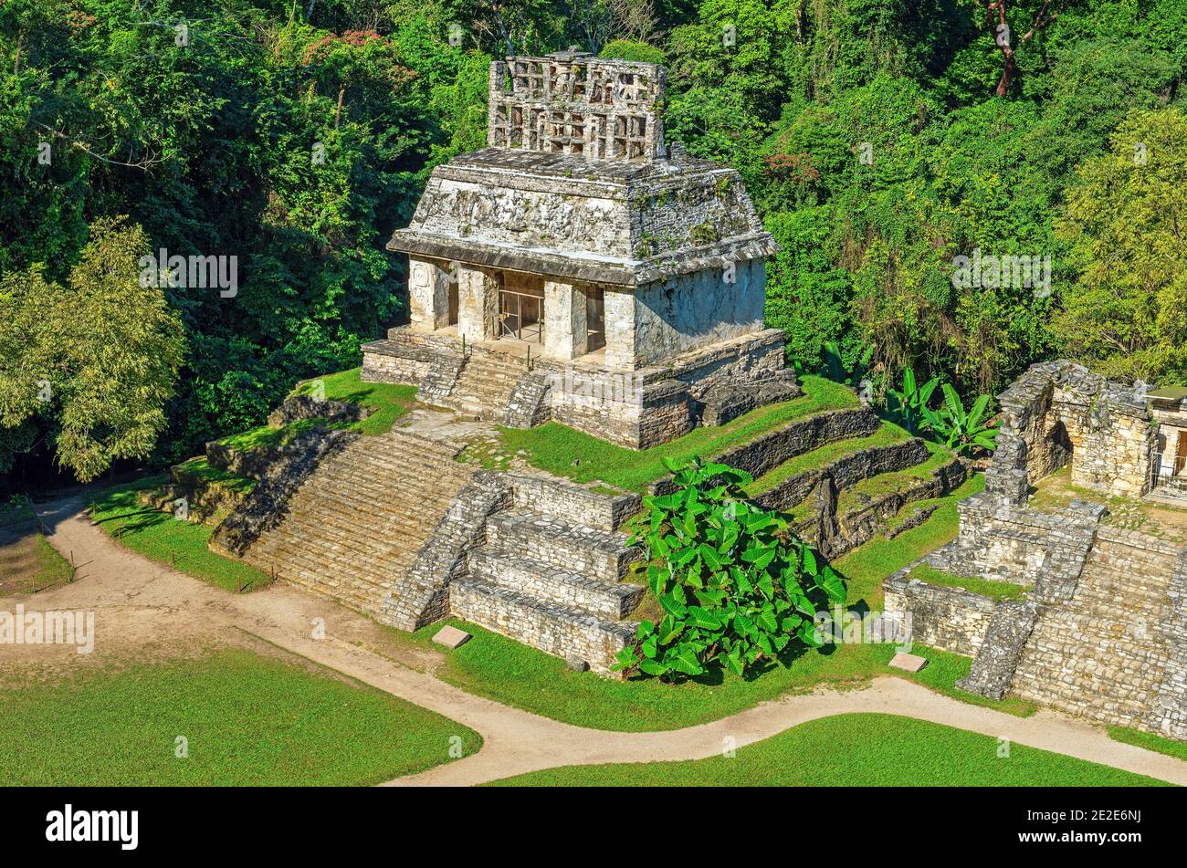 Vue aérienne du Temple maya du Comte, Palenque, Chiapas, Mexique. Banque D'Images