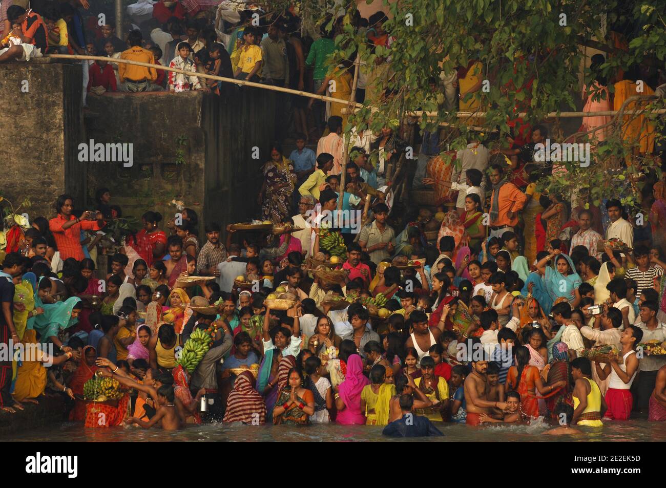 Chhath Puja festival, dédié au Dieu du Soleil Surya.un des festivals religieux les plus attendus dans le nord de l'Inde.célèbre des ghats de Kolkata, la population nettoie ses péchés dans les eaux de la rivière Hooghly ( un disitributary du Ganga ), Kolkata, Inde.Festival Chhath Puja, Dedie au dieu du soleil Surya.un des festivals les plus attendu dans le nord de l'Inde.sur les ghats celebres de Calcutta, la population se purifie de ses noix dans les eaux de la riviere Hoogly( defluent du Gange ), Calcutta, Inde, 2007. Photos de David Lefranc/ABACAPRESS.COM Banque D'Images