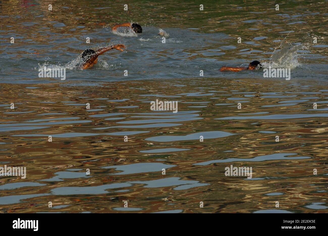 Chhath Puja festival, dédié au Dieu du Soleil Surya.un des festivals religieux les plus attendus dans le nord de l'Inde.célèbre des ghats de Kolkata, la population nettoie ses péchés dans les eaux de la rivière Hooghly ( un disitributary du Ganga ), Kolkata, Inde.Festival Chhath Puja, Dedie au dieu du soleil Surya.un des festivals les plus attendu dans le nord de l'Inde.sur les ghats celebres de Calcutta, la population se purifie de ses noix dans les eaux de la riviere Hoogly( defluent du Gange ), Calcutta, Inde, 2007. Photos de David Lefranc/ABACAPRESS.COM Banque D'Images