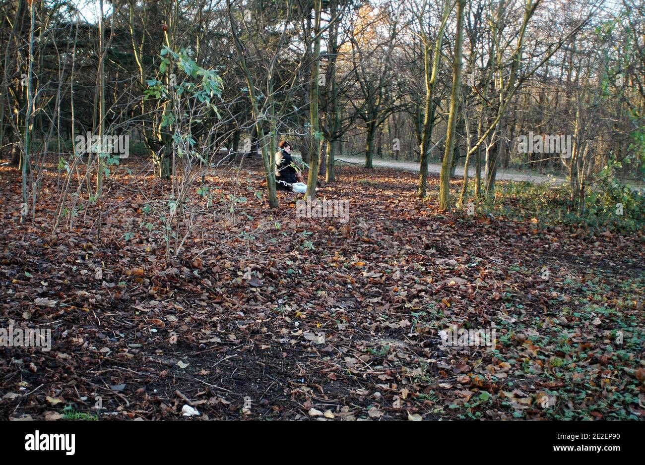 Bois de Boulogne, prostitution. 10 décembre 2011, Paris, France.Bois de Boulogne, prostitution. 10 décembre 2011, Paris, France. Photo d'Alain Apaydin/ABACAPRESS.COM Banque D'Images