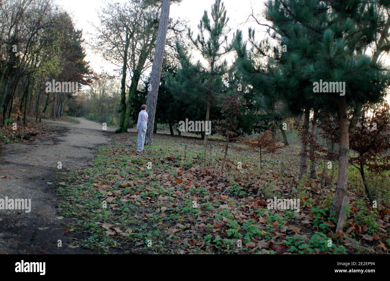 prostituées bois de boulogne tarif