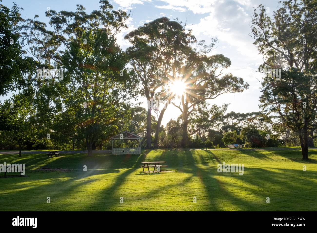 Le soleil à travers les arbres avec table de pique-nique et belvédère dans un beau jardin. Orvost, Victoria, Australie Banque D'Images