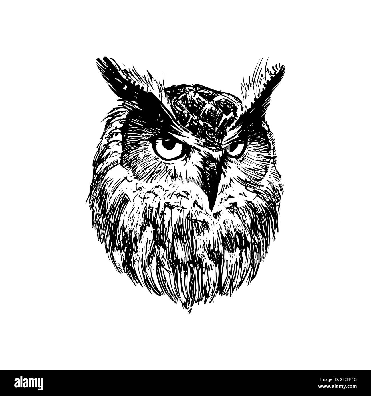 Tête hibou. Dessin à l'encre graphique pour l'impression, style vintage. Symbole de la connaissance Illustration de Vecteur