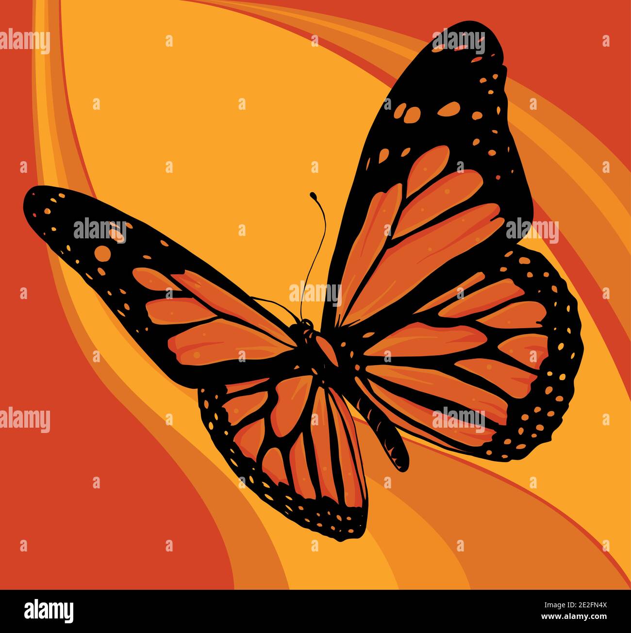 illustration vectorielle d'un beau papillon coloré Illustration de Vecteur
