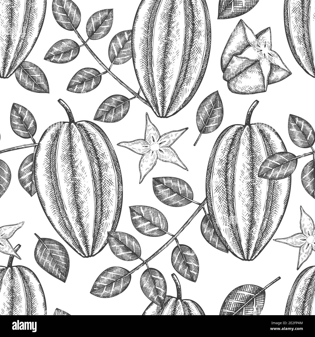 Motif de carambola sans couture de style esquisse dessiné à la main. Illustration vectorielle de fruits frais biologiques. Fond rétro fruit Illustration de Vecteur