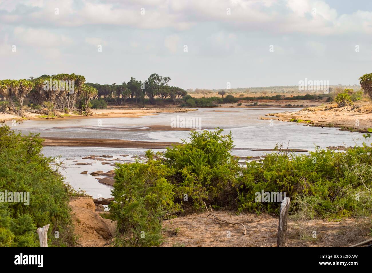 Galana River, parc national de Tsavo East, Kenya, Afrique de l'est, Afrique Banque D'Images Galana River, parc national de Tsavo East, Kenya, Afrique de l'est, Afrique Banque D'Images