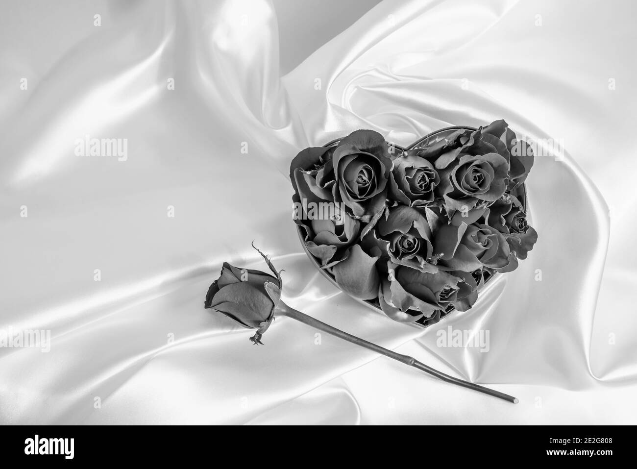 L'amour de la Saint-Valentin Banque D'Images