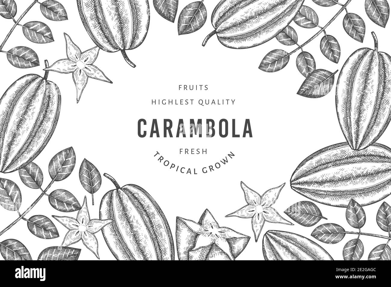 Bannière carambola de style esquisse dessinée à la main. Illustration vectorielle de fruits frais biologiques. Modèle rétro fruit design Illustration de Vecteur