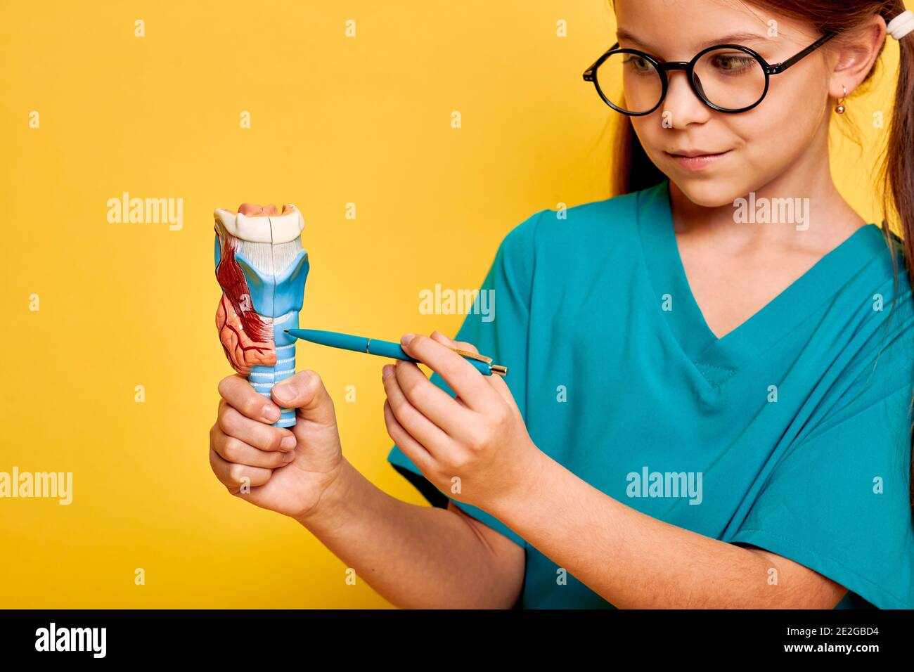 Adolescente portant un uniforme médical pointant un stylo dans un modèle anatomique de la glande thyroïde tout en étudiant l'anatomie humaine. Éducation scolaire, anatomie Banque D'Images