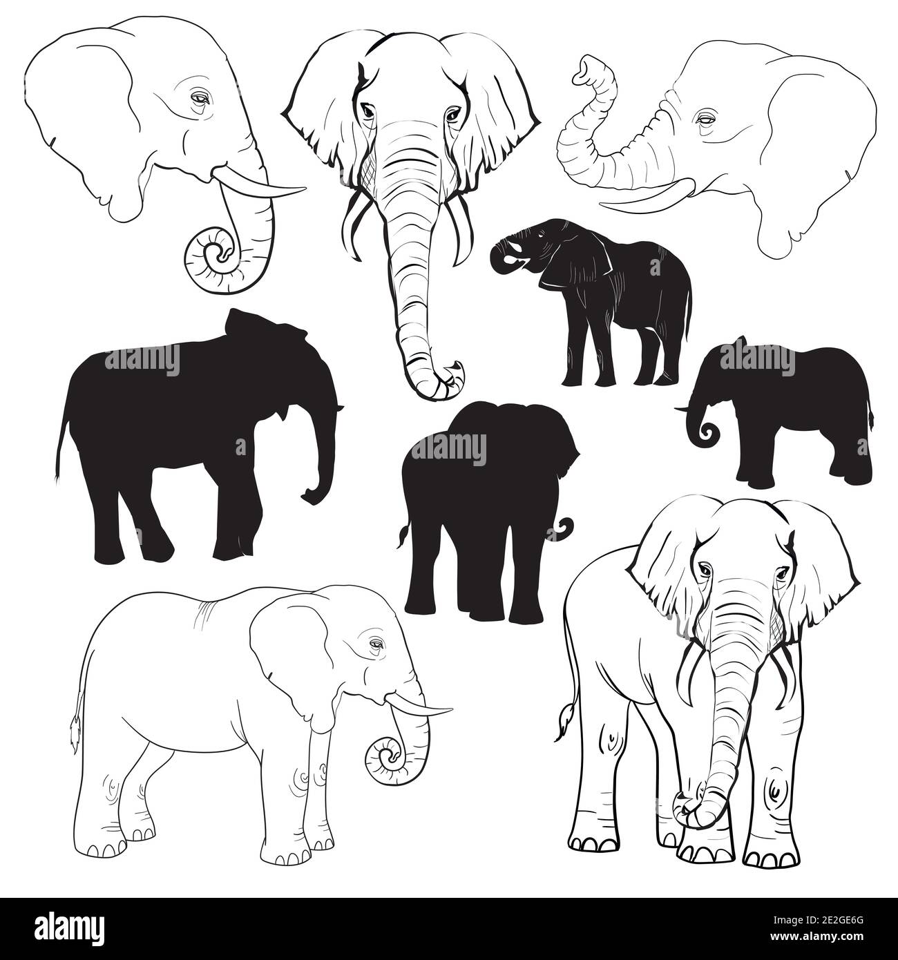 Silhouette des éléphants et croquis à la main. Illustration de Vecteur