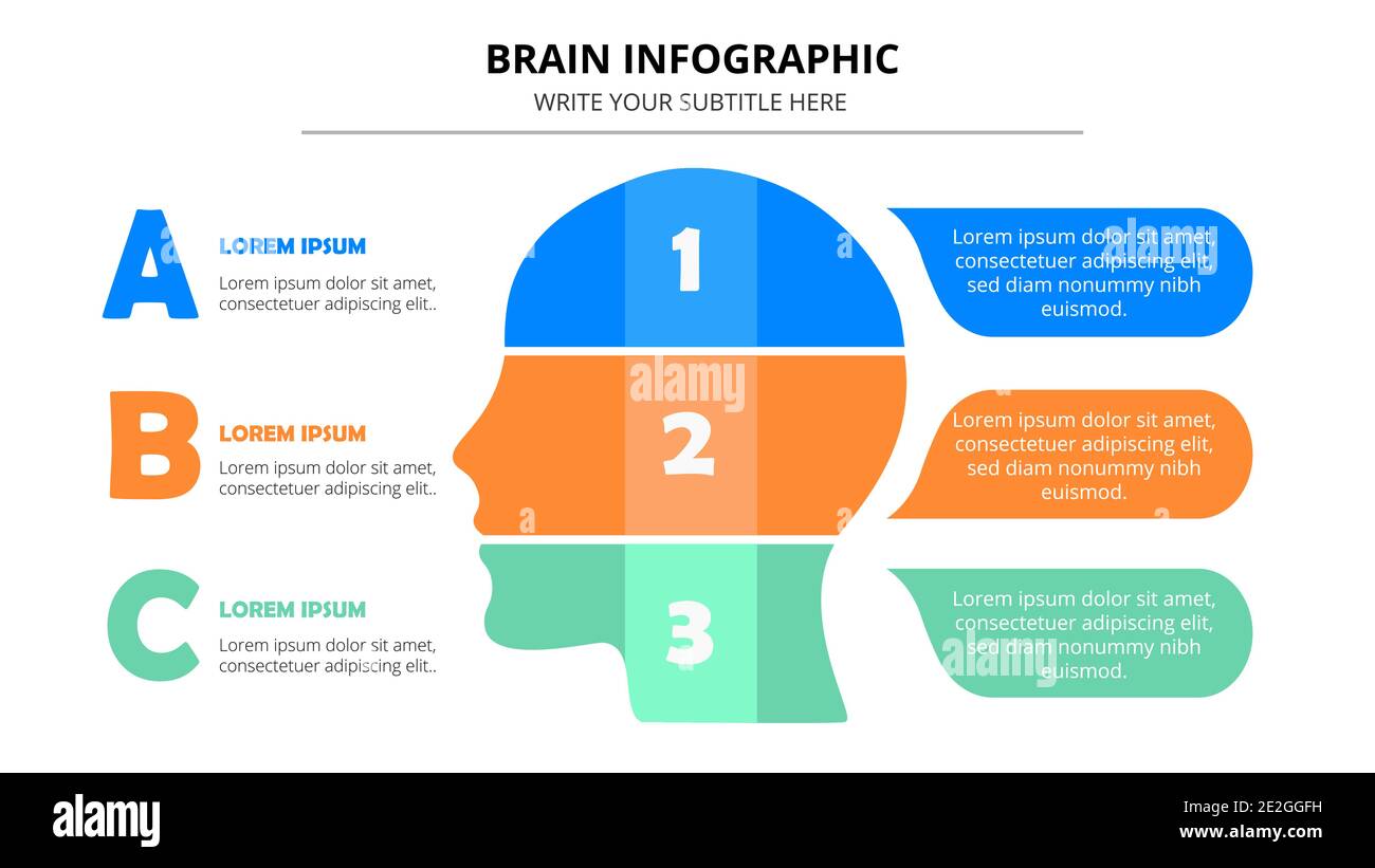 Modèle d'infographie coloré sur le cerveau Illustration de Vecteur