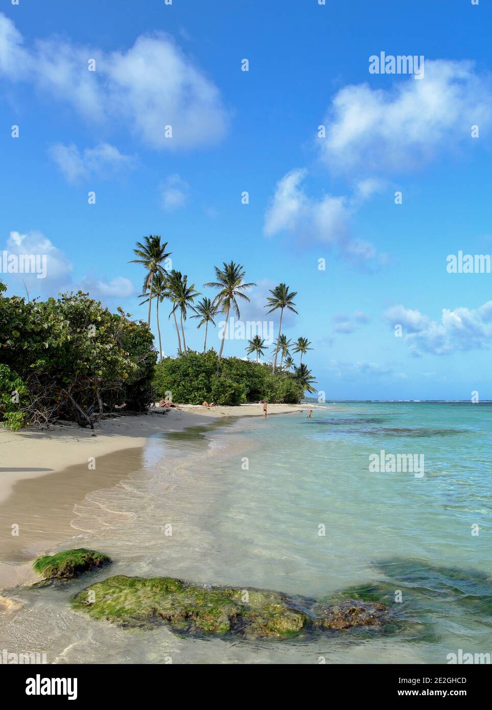 Guadeloupe : plage Bois Jolan à Sainte-Anne Banque D'Images