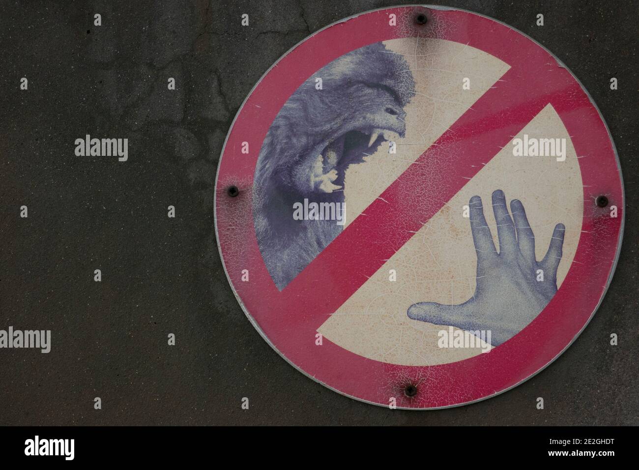 Panneau d'avertissement relatif aux morsures d'animaux sur le mur Banque D'Images