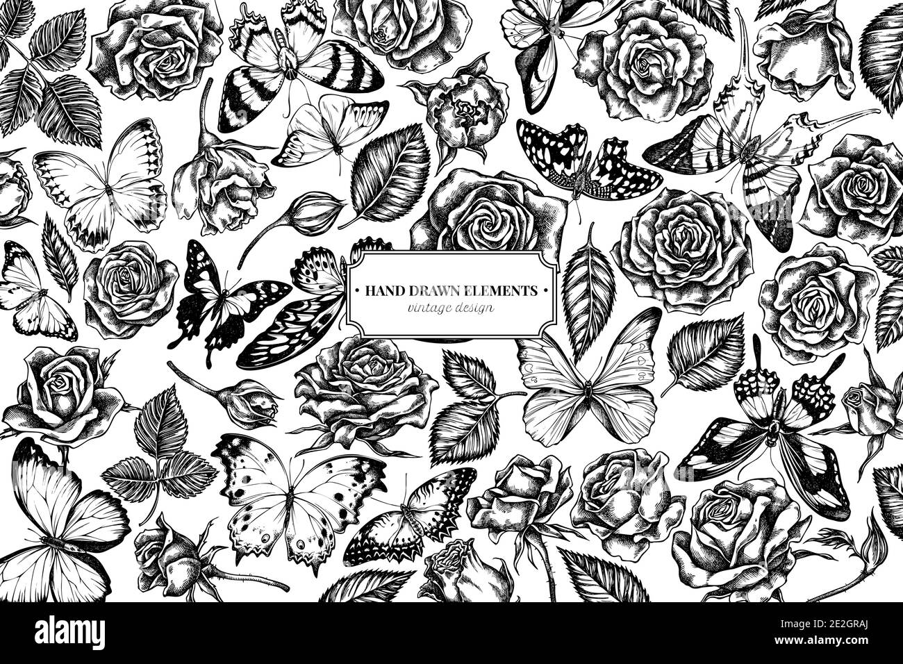 Motif floral avec morpho bleu menelaus noir et blanc, espadon géant, morpho bleu, papillon de citron, laçage rouge, queue d'allowtail géant africain Illustration de Vecteur