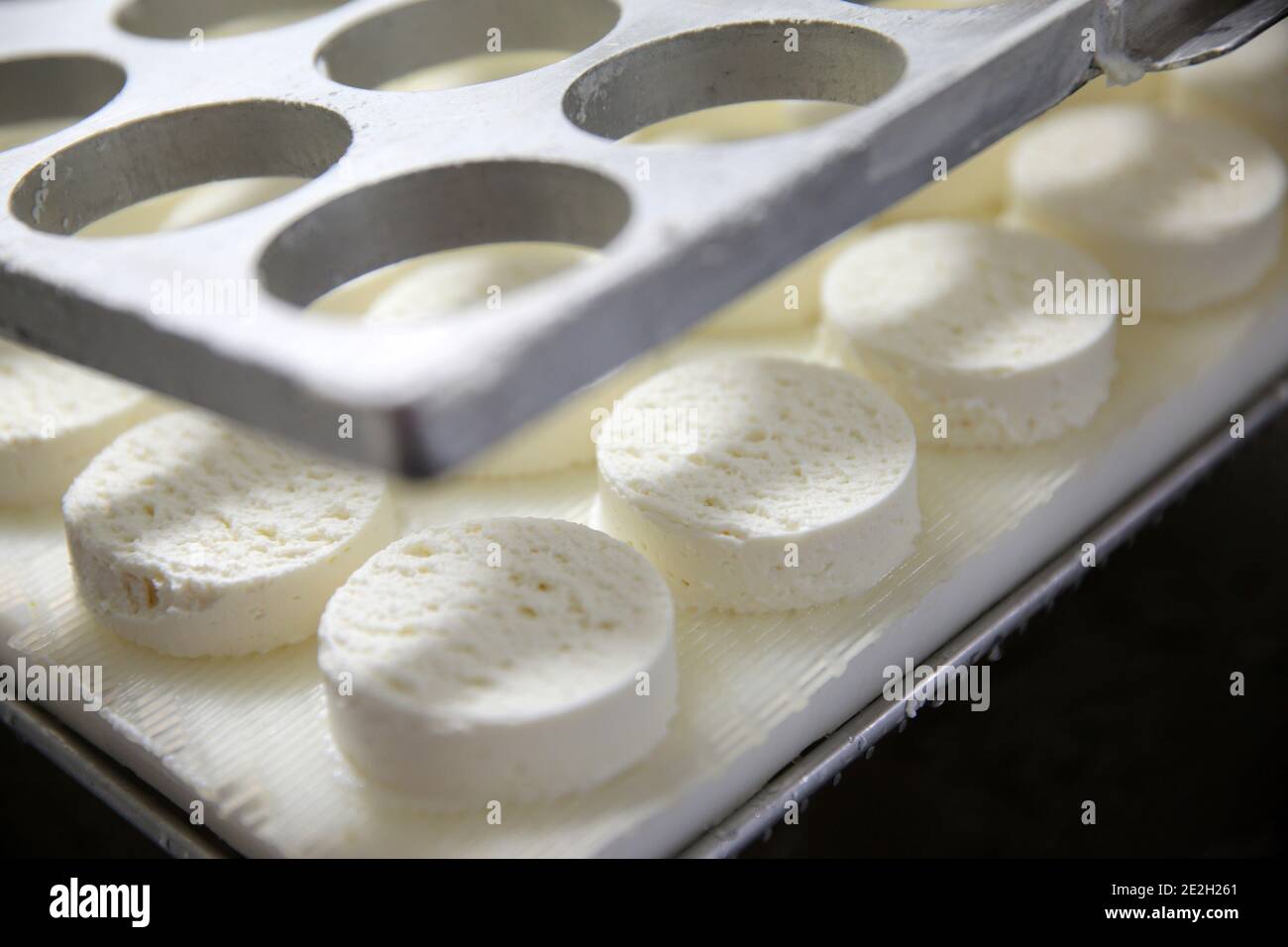 Salvagnac Cajarc (sud de la France) : Rocamadour fabrication de fromage AOC (fromage PDO), fromage de chèvre non pasteurisé fabriqué dans une ferme laitière Banque D'Images