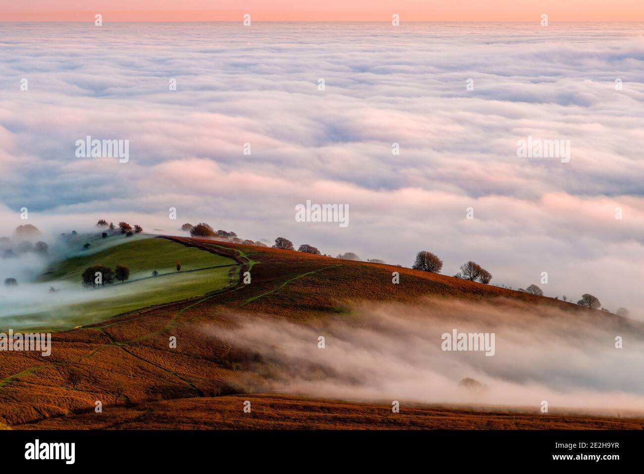 Vue sur une vallée baignée de brouillard depuis une colline rurale au soleil rose nocturne (pays de Galles, Royaume-Uni) Banque D'Images