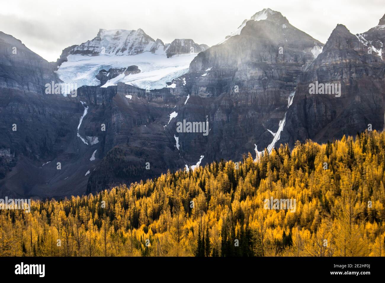 Vallée du mélèze capturée en automne dans les montagnes rocheuses de Canada Banque D'Images