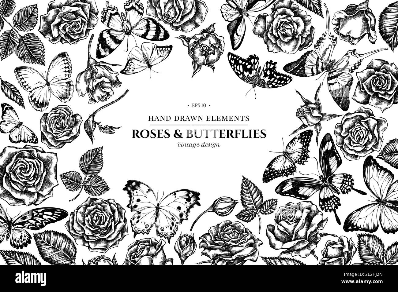 Motif floral avec le noir et blanc menelaus bleu morpho, espadon géant, papillon citron, rouge lacuse, mansaron géant africain, alcides agathyrsus Illustration de Vecteur