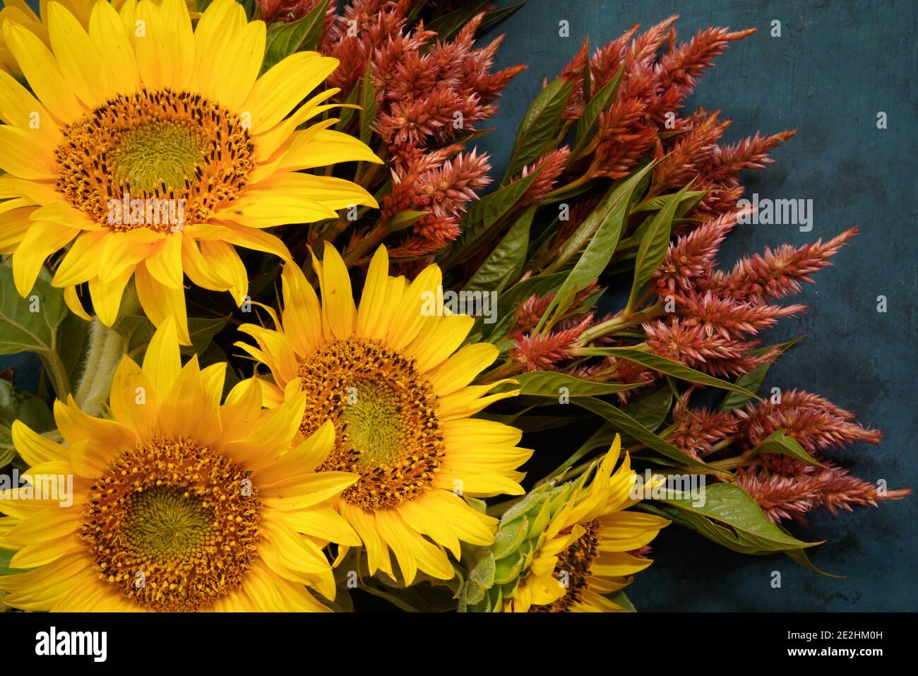 Bouquet de fleurs coupées contenant des tournesols et Celosia var.. Terre cuite Banque D'Images