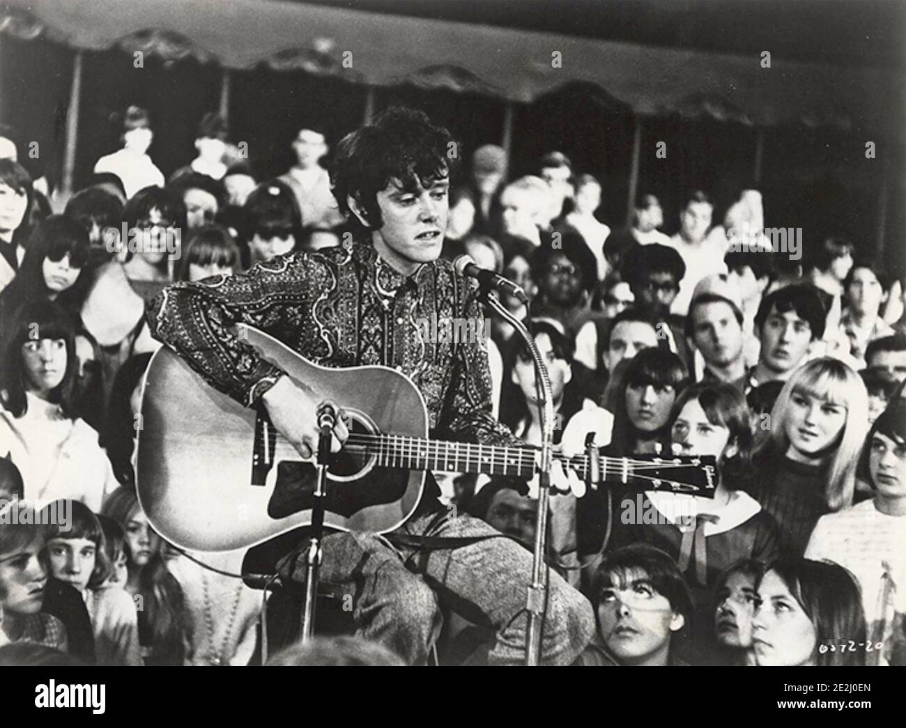 LE GRAND T.N.T. MONTREZ 1966 film de concert AIP avec Donovan Banque D'Images