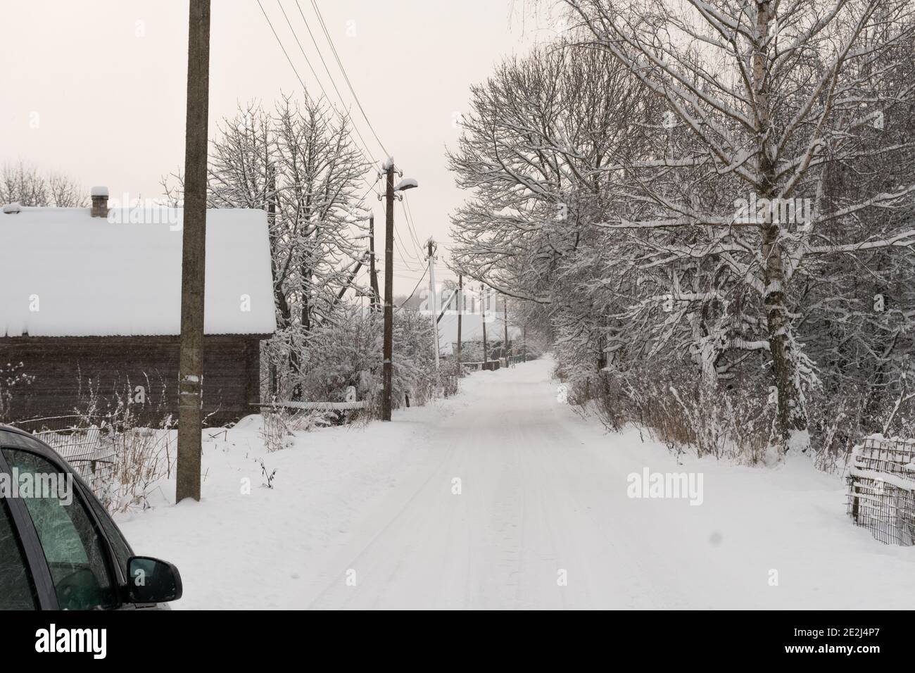 Longue route du village couverte de neige, neige sur les arbres, maisons du village, power pole en hiver Banque D'Images Longue route du village couverte de neige, neige sur les arbres, maisons du village, power pole en hiver Banque D'Images