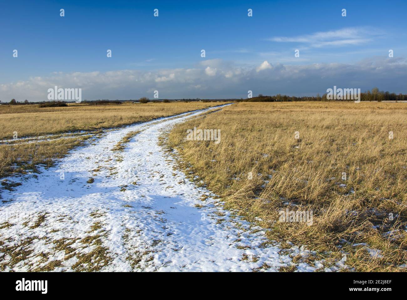 Route enneigée à travers un pré, nuages dans le ciel bleu, paysage d'hiver Banque D'Images