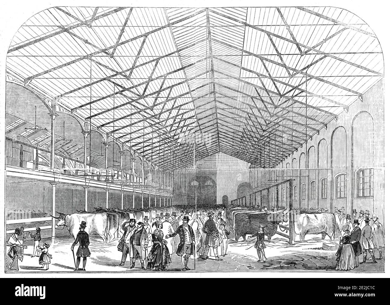 Le Smithfield Prize Cattle Show, 1845. Salon agricole à Londres. "Les arrangements pour l'exposition présenté cette année un caractère entièrement nouveau; Toute la cour de la rue Horse Bazaar King, Baker-Street, 195 pieds Iong, par 50 pieds de large, autrefois seulement temporairement couvert de toile, a été, cette année, surmonté d'un toit léger et élégant en fer à tension, bien éclairé par une lanterne de crête s'étendant sur toute la longueur. Sur le côté ouest, une galerie spacieuse, de 40 pieds de large, a été ouverte à l'arène... l'ensemble de ces améliorations ont été conçues par, et exécutées sous TH Banque D'Images