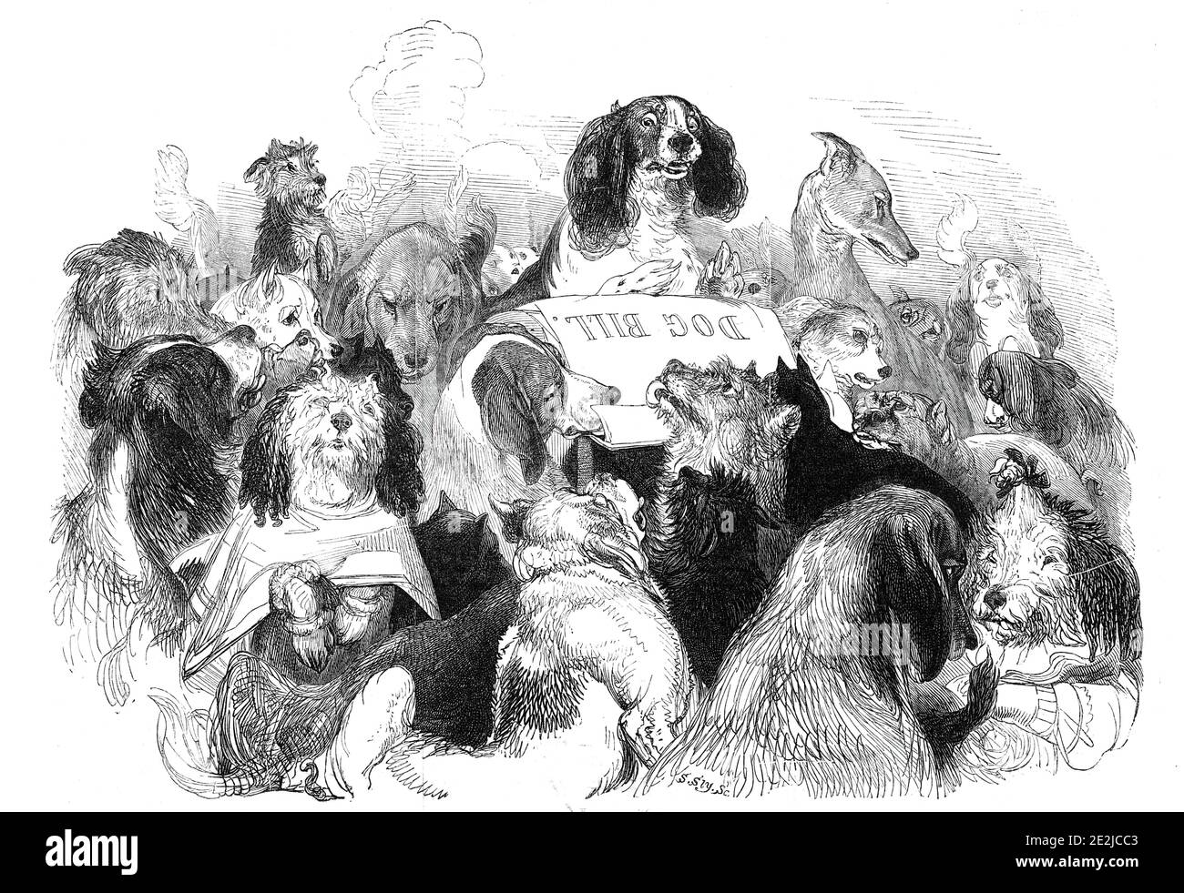 The Dog Bill Committee, dessiné par T. Landseer, 1844. De "Illustrated London News", 1844, vol V. Banque D'Images