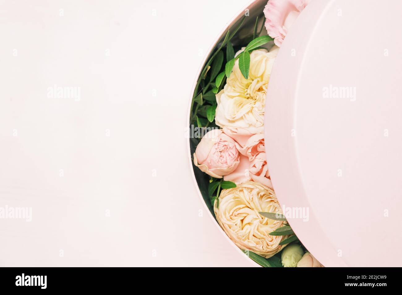Une fleur élégante et délicate dans une boîte ronde à chapeau sur fond rose avec espace de copie. Boîte cadeau pour le 8 mars, Journée internationale de la femme Banque D'Images
